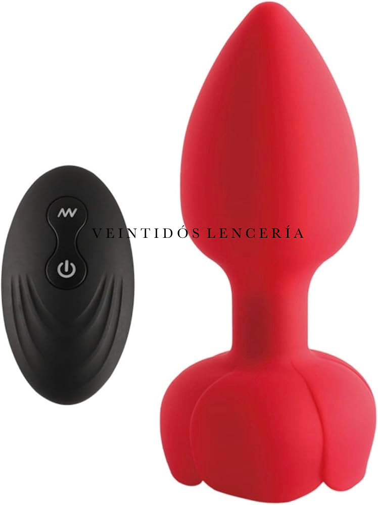 Plug Anal Vibrador