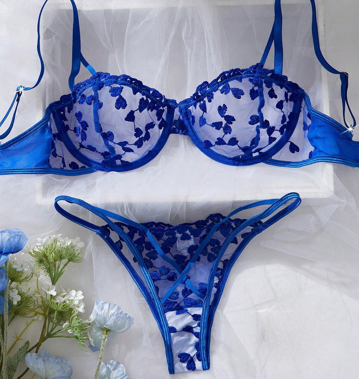 Set Katia